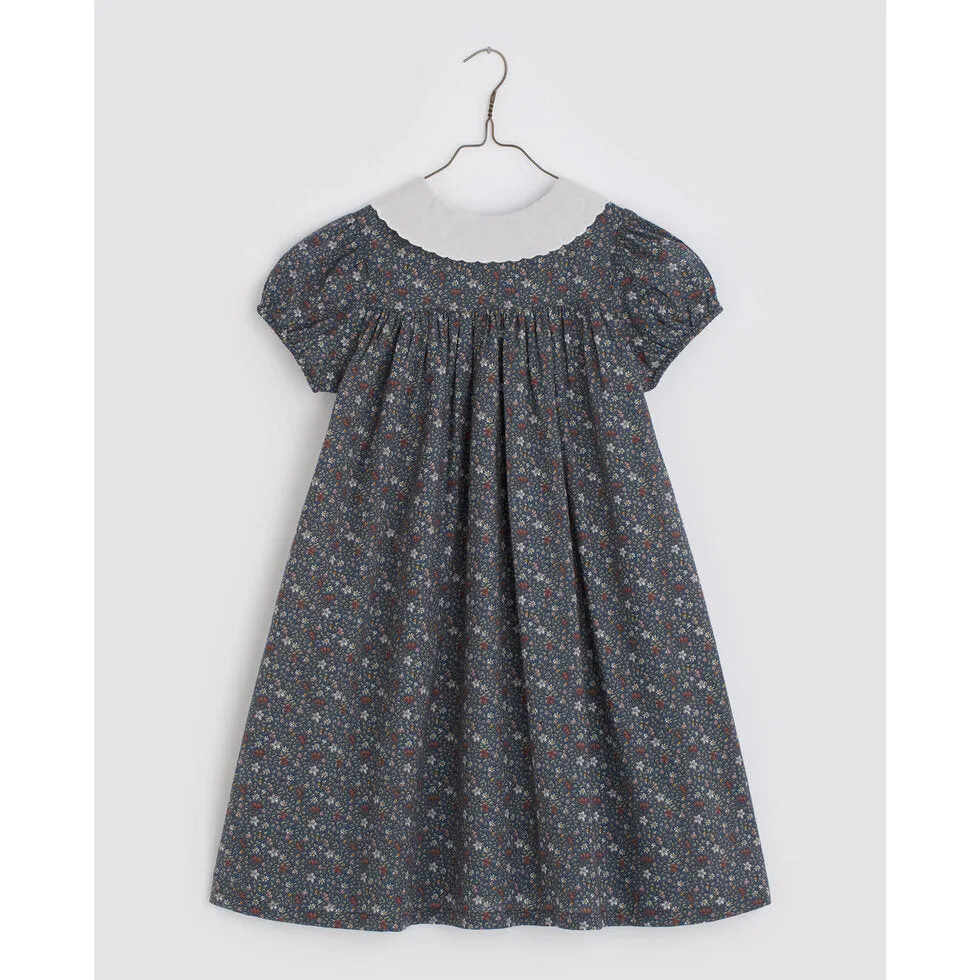 Alma dress-blue