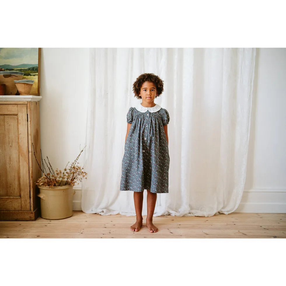 Alma dress-blue