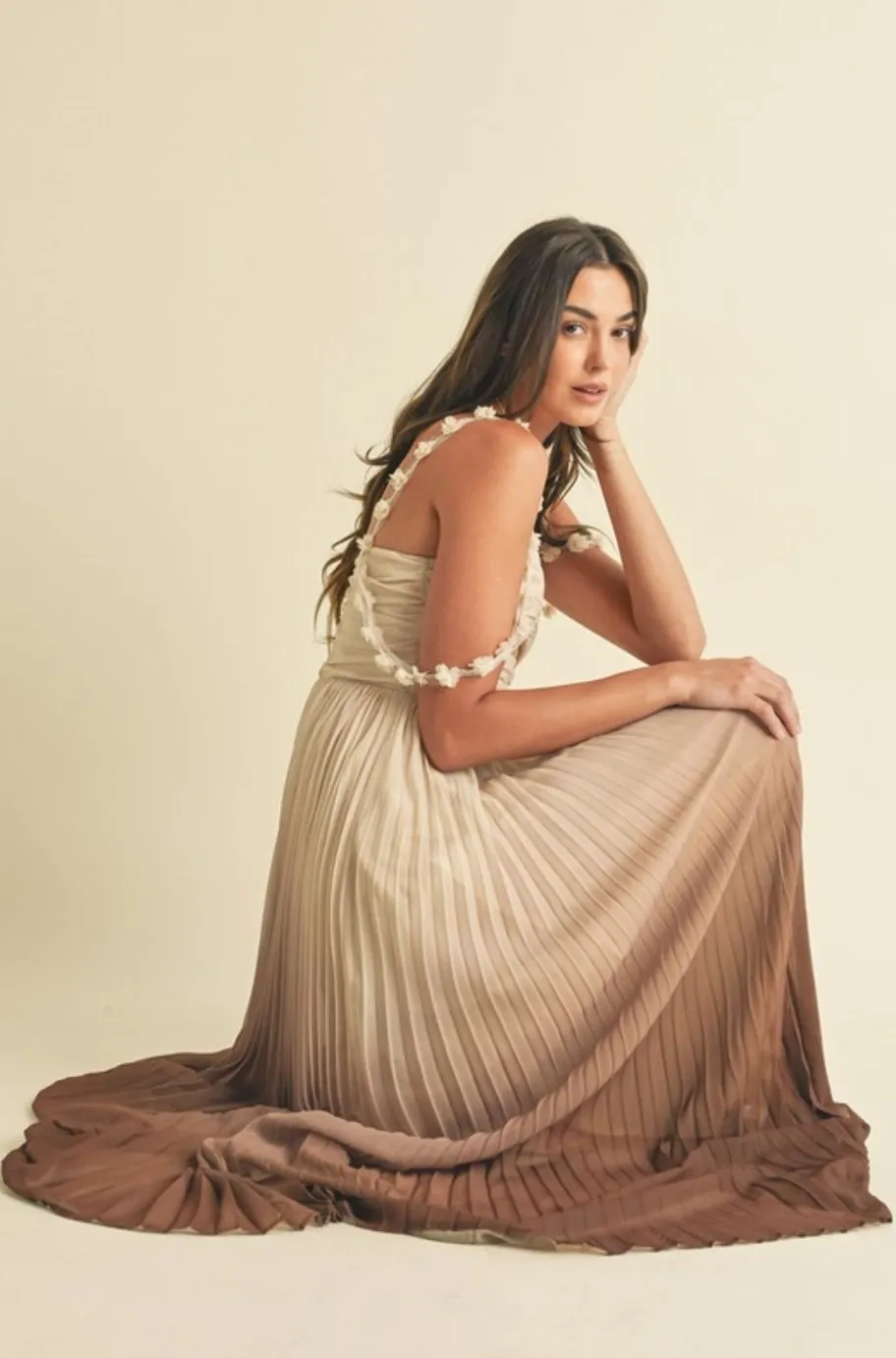 Iconic Ombré Pleated Dress