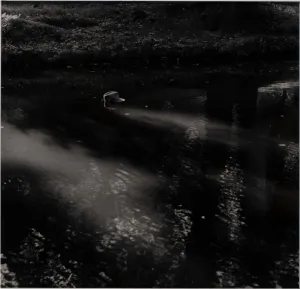 Man's Hat in River - II