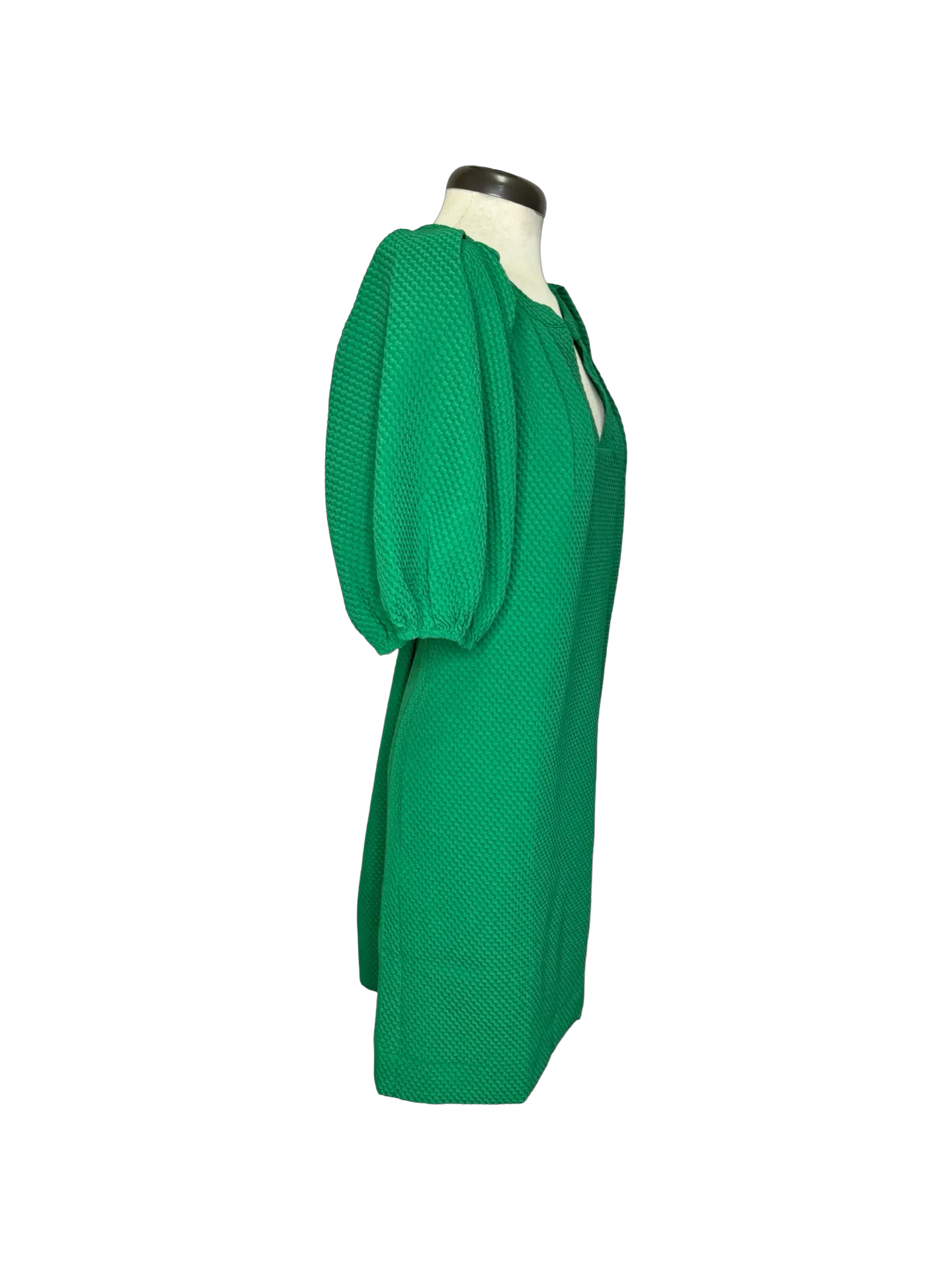 Pleated Sleeve Dress Green
