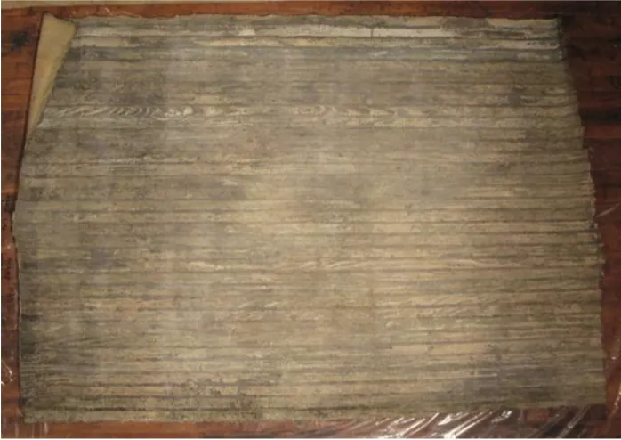 Takashi Horisaki, "Social Dress New Orleans — Porch Ceiling II,"