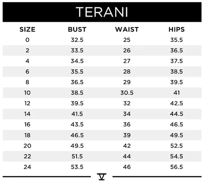 Terani Couture 242M3335 Dress